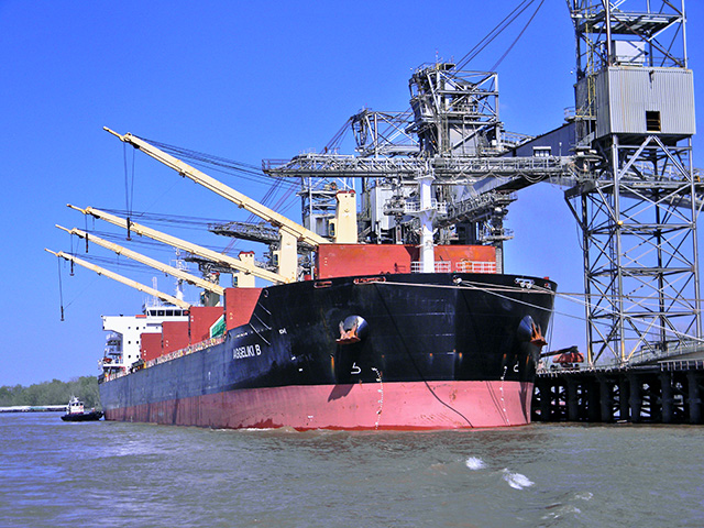 Shipments of organic feed and other products have risen in recent years, but a USDA audit shows there are few controls at ports to verify claims those products were grown using organic standards, Image by Mary Kennedy